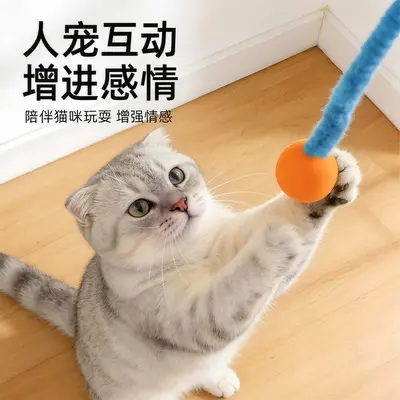 Katzen-Federangel mit Raupe und elastischem Ball - 3