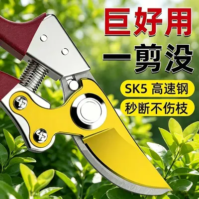 Himbeerfarbene SK5 Astschere Fruchtschere Blütenschere Zweigschere Grobastschere Landwirtschafts- und Gartenschere Gartenbauschere