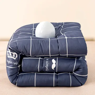Water-Washed Cotton Quilt Spring Autumn Thick Warm Quilt Core Student Dormitory Single Double Cotton Quilt - 10