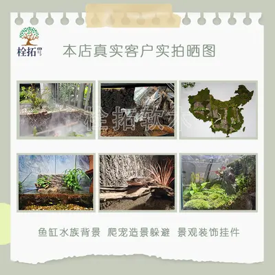 Korkrinde Sektbaum echte Rinde Kletter Haustier Aquarium Landschaft Dekoration Aufkleber Fotohintergrund Wandrinde