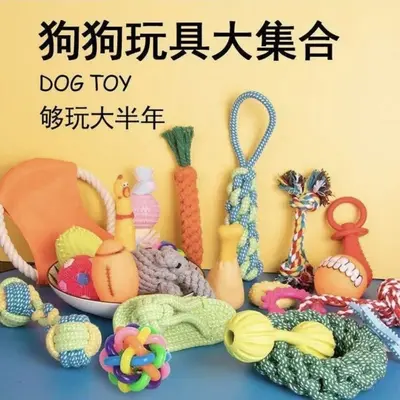 Squeaky Plush Cotton Rope Dog Toy for Small and Medium Dogs - 3