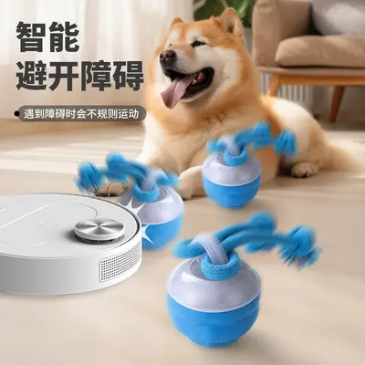 Akıllı elektrikli köpek oyunu topu, eğitim ve çiğneme