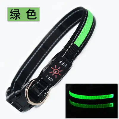 USB Rechargeable LED Light-Up Nylon Dog Collar for Medium and Large Dogs - 10