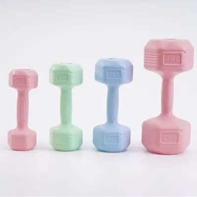 Üretici toptan renkli dambıllar kadınlar için fitness açık hava ev ekipmanları çocuklar ve öğrenciler için hepsi bir arada ev