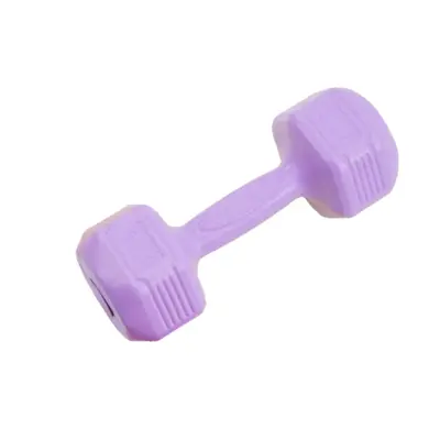 Üretici toptan renkli dambıllar kadınlar için fitness açık hava ev ekipmanları çocuklar ve öğrenciler için hepsi bir arada ev