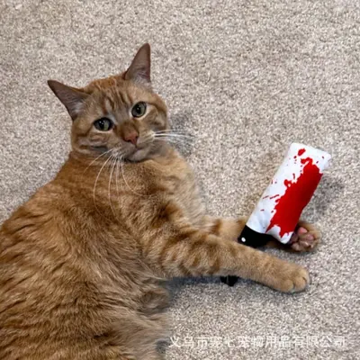 跨境爆款万圣节猫玩具热销款内含猫薄荷自嗨解闷狗狗玩具厂家直销