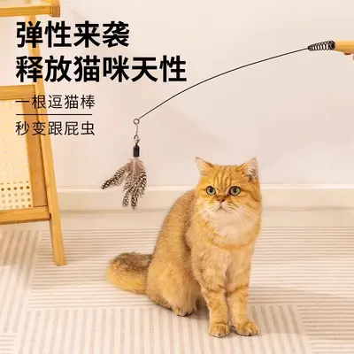 Cat Teaser Wand with Flying Insect Feather Replacement Head - 4
