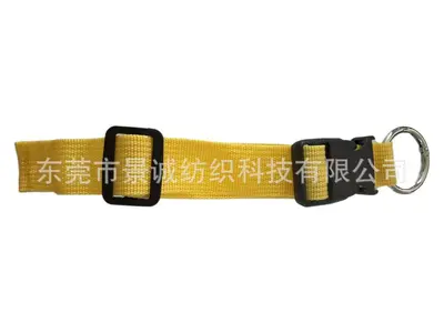 Plastic Buckle with Spring Ring for Backpacks and Luggage Packing Strap - 13