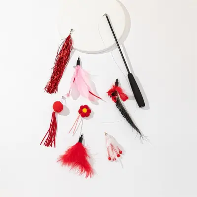 Customizable Plastic Cat Teaser Wand - 10