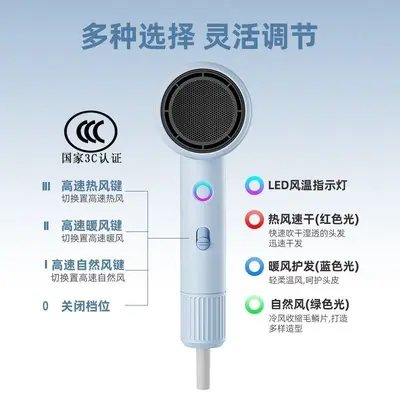 High-Power Negative Ion Hair Dryer with Hot and Cold Settings, Quiet