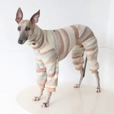Petstyle Evcil Hayvan Kıyafeti, Küçük Tazı ve Whippet İçin