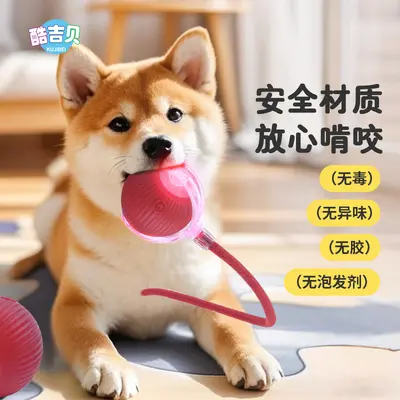 Automatic Dog Ball Toy, Chew-Resistant, for Small Dogs - 3