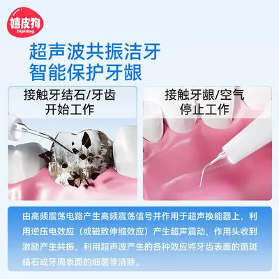 Ultrasonic electric dog teeth cleaner with intelligent tartar removal - 4