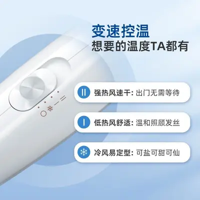 High-Power Hair Dryer with Strong Airflow, Model PH1626