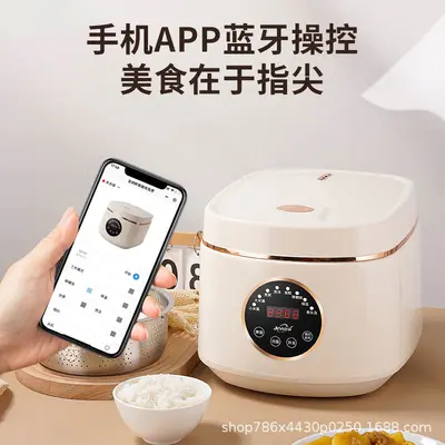 先科 智能电饭煲3-4人多功能4-5饭锅家用大容量厚釜内胆5L电饭锅 - 11