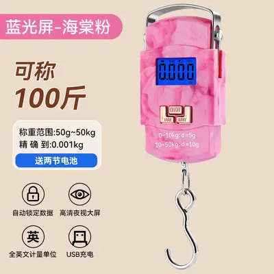 High-precision fishing express scale portable hand scale electronic weighing scale gram scale accurate vegetable sales spring hanging scale electronic balance - 7