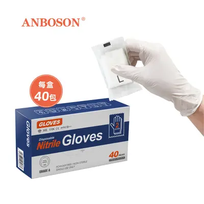 Disposable Nitrile Food-Service Gloves, 2 Pieces Individually Packed, Picnic - 9