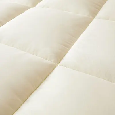 Grade A Xinjiang Cotton Mattress Student Dormitory Thickened Bed Pad Single and Double Person Tatami Soft Underlay Pad