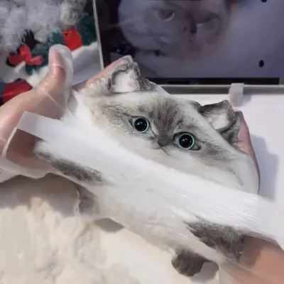 Hand-Painted Giant Chubby Cat Squishy Stress Relief Toy, DIY