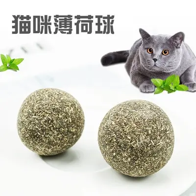 Catnip Tumbler Cat Self-Play Toy with Molar Chew Stick - 11