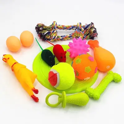 Dog Toy Set with Squeaky Ball, Durable Chew Toys - 6