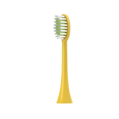 Replacement Brush Heads for Philips Sonicare HX2 Electric Toothbrush, HX2023/HX2481/HX247 - 10