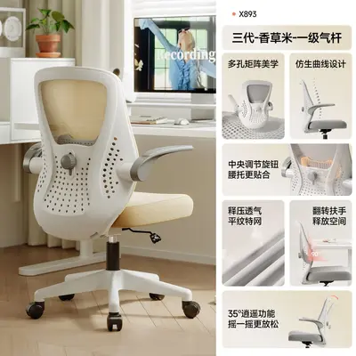 Ergonomik Çalışma Sandalyesi, Sırt Destekli Döner Ofis Koltuğu - 10