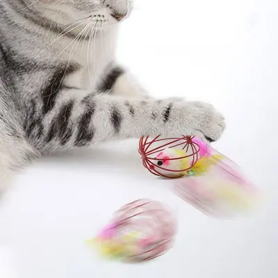 Gerçek Tüylü Peluş Kedi Oyuncak Seti Fare Top - 4