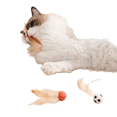 Feather Cat Toy with Elastic Ball and Plush Cat Teaser Wand - 5