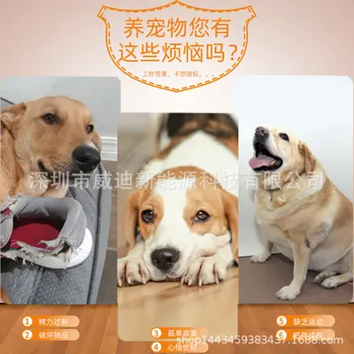 亚马逊宠物狗玩具网球抛球机发射器发球室内外投掷机自动抛球器