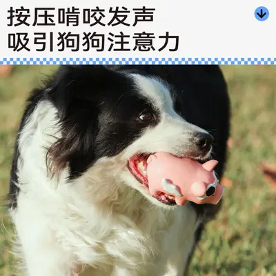 QMONSTER乳胶发声狗狗玩具耐咬发声肌肉小动物磨牙棒宠物中小型犬