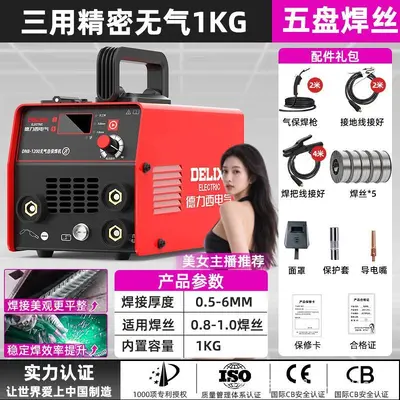 Delixi 220V Multifunction Gasless Welding Machine, Portable, Industrial Grade - 11