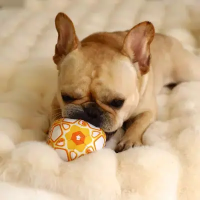 Plush Ball Dog Toy, Chew-Resistant, Squeaky - 3