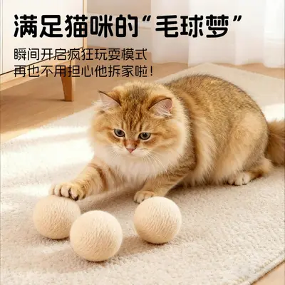 Silent Wool Ball Cat Toy for Kittens - 5