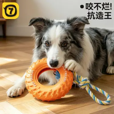 Rubber Tire Dog Toy, Durable Chew Toy with Interactive Ring - 2