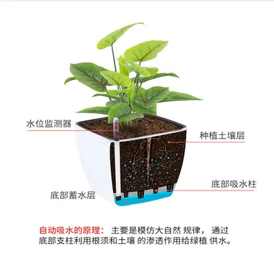 Çiçek Bitki Aşk Kendiliğinden Sulanan Saksı Kare Büyük Çaplı Basit Yeşil Turp Bonsai Masaüstü Kendiliğinden Sulanan Saksı Toptan