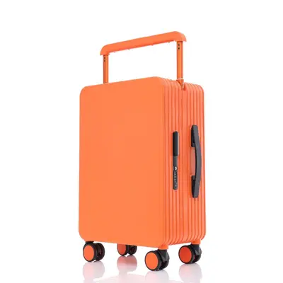 20 und 24 Zoll Rollenkoffer-Set - 12