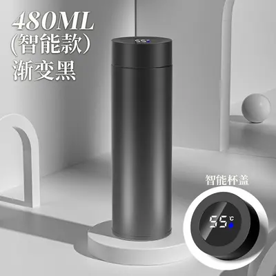 Large Capacity 316 Stainless Steel Insulated Bottle with Temperature Display - 12