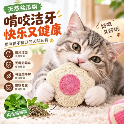 Natural Luffa Cat Toy with Catnip, Teeth Cleaning Chew Toy - 3