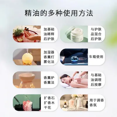 透骨草精油件代发包邮植物单方精油香薰油面部按摩护肤原料本草药