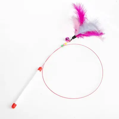 Wire Cat Teaser Wand with Replacement Feather Head, Self-Play Pet Toy - 8