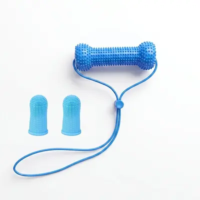 Pet Chew Toy Toothbrush Stick for Easier Teeth Brushing - 9
