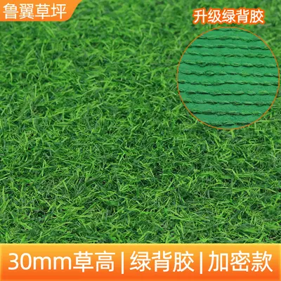 Kunstrasen für den Außenbereich, Kunststoff-Grasmatte - 13