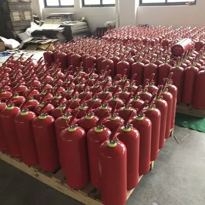 Kuru Tozlu Araç Yangın Söndürücü Taşınabilir 1 kg Ev ve Araç İçin