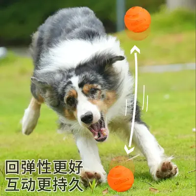 Köpek İçin Dayanıklı Halatlı Top, Esnek Çiğneme ve Eğitim Oyuncağı - 3