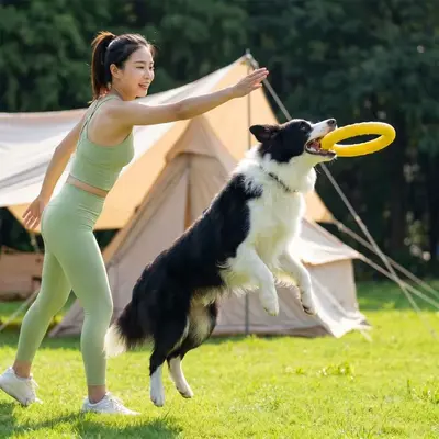 Border Collie Ring Tug Toy for Large Dogs, Durable - 5