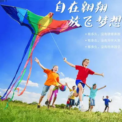 Rainbow Phoenix Kite for Adults, with Front Pole