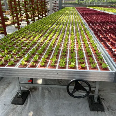 Mobile Hydroponic Ebb and Flow Seedling Workbench, 4x8 Adjustable Length, Indoor - 3