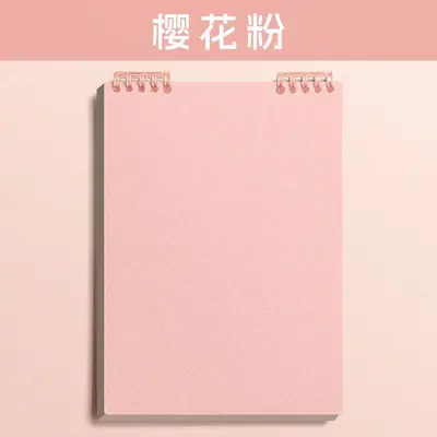 A4 Notebook with Removable Sheets, A5 Notebook and B5 Student Notebook - 13