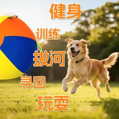 Dev köpek oyun topu, büyük boy, sıkıntı giderici, border collie için - 4